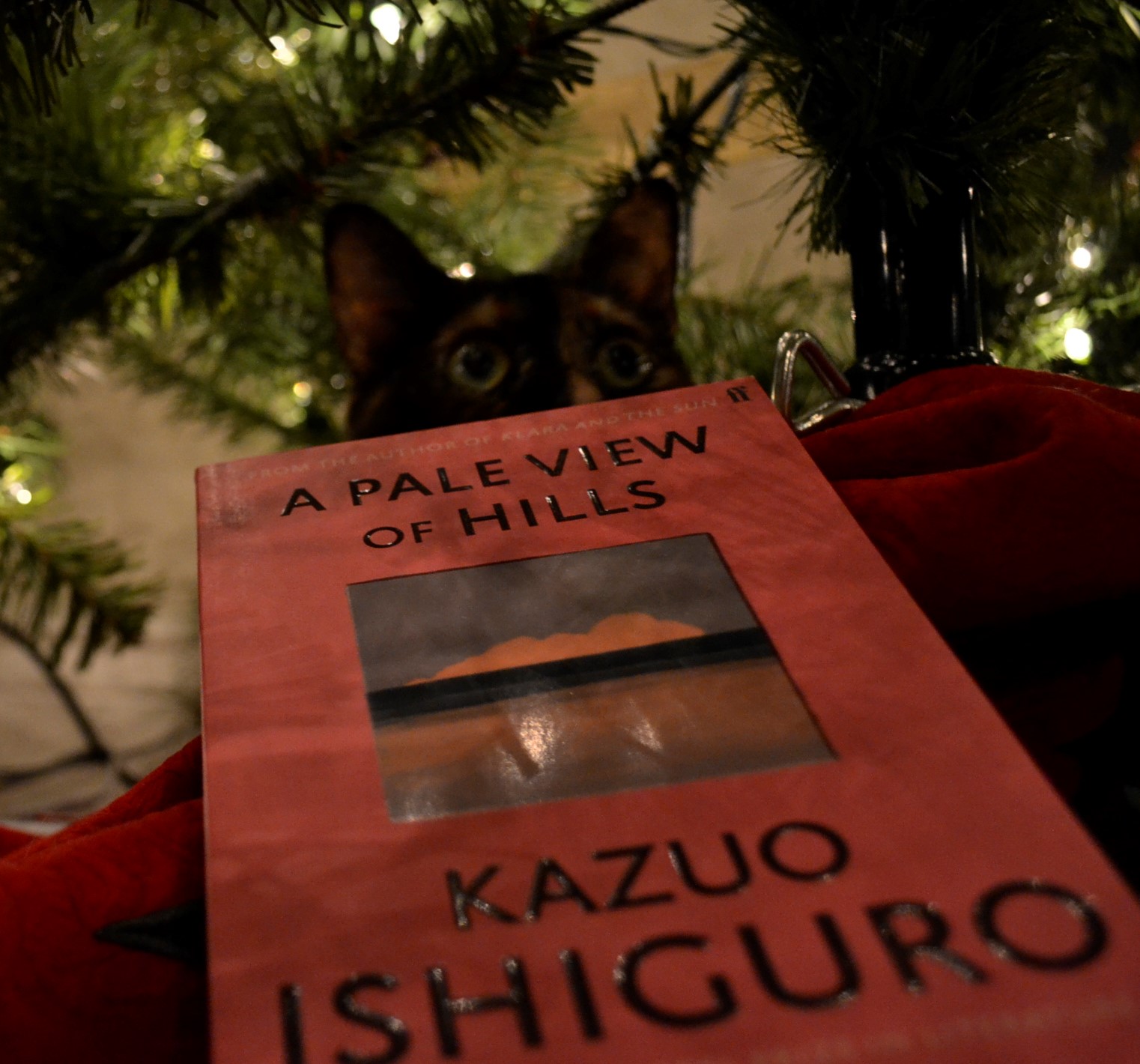 A tortoiseshell cat with wide eyes peeks over the top of a book. The cat his hiding beneath a Christmas tree.