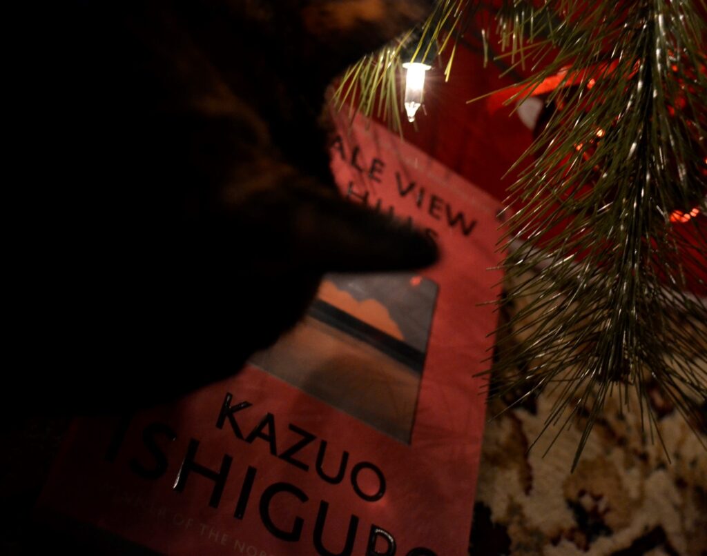 A tortoisehsell cat sniffs a pink book beneath the warm white glow of Christmas tree lights.