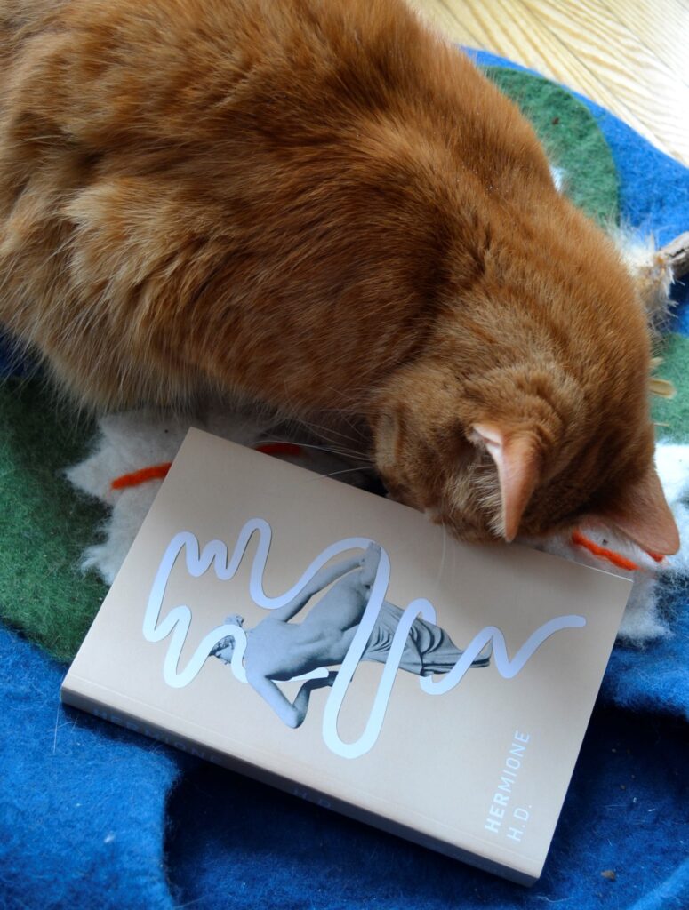 An orange tabby cat sniffs a pink book. The book is Hermione by HD and has a statue on the cover.