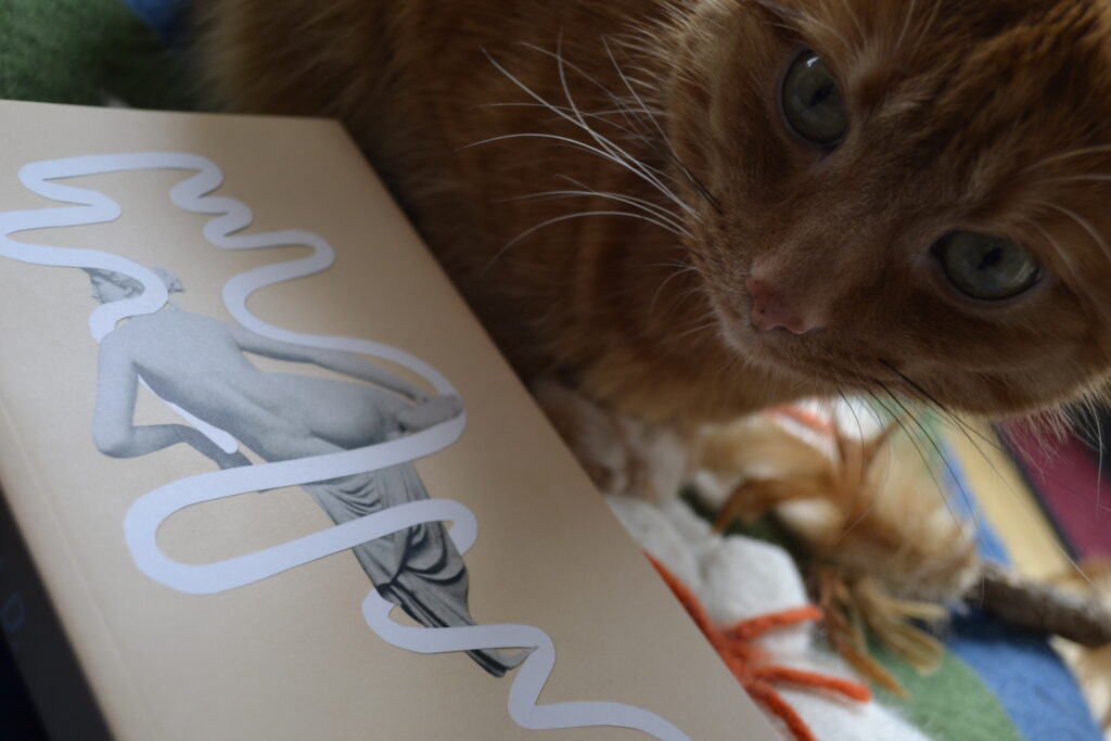 A cat looks beside a pink book. The book features a statue of a naked woman, seen from the back, and a white line snaking around the figure.