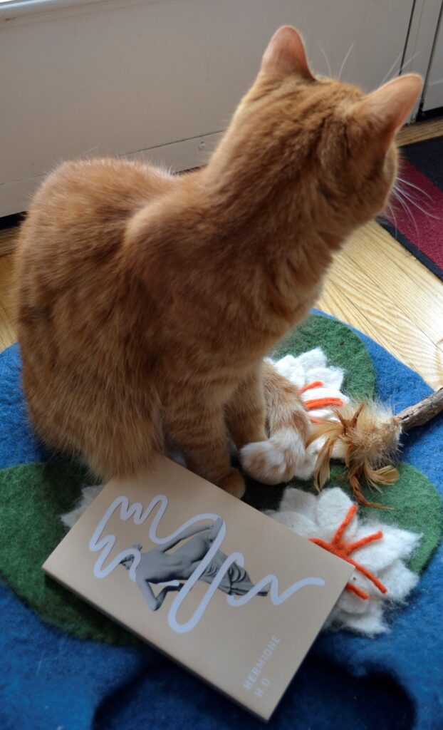 An orange tabby cat sits on a cat bed shaped like a lily pad. A pink book with a figure on it is beside her.