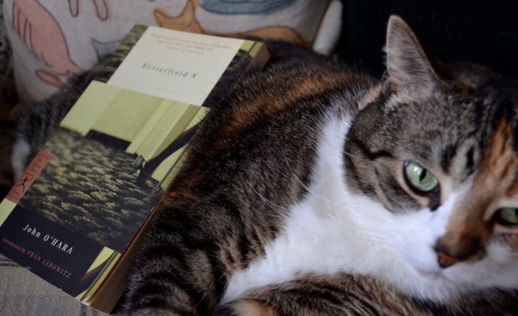 A copy of a book leans against a calico tabby who looks a little cranky.
