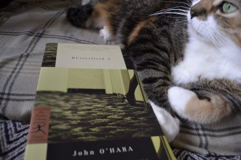 A cat sits around a copy of John O'Hara's BUtterfield 8.