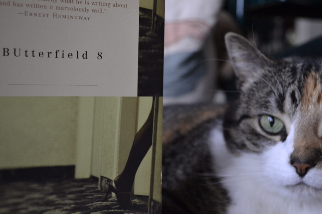 A calico tabby can be seen behind the title of a book: BUtterfield 8.