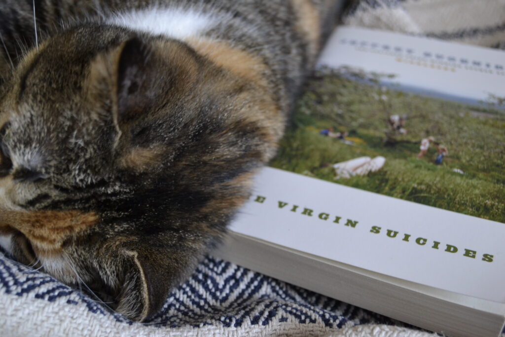 A calico tabby lies beside a book. On the cover, five young women are sprawled across tree limbs and grass.