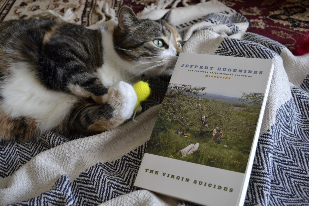 A calico tabby, holding a yellow knitted duck toy, sniffs a copy of Jeffrey Eugenides' The Virgin Suicides.