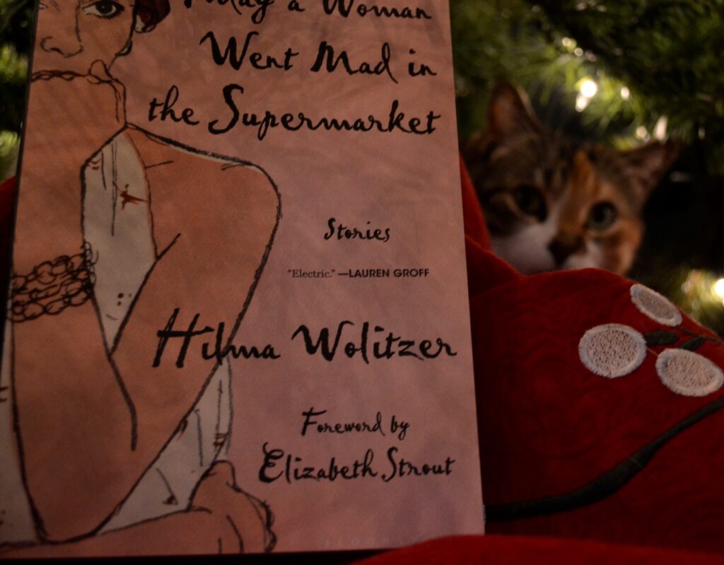 A book cover reads 'Stories' by Hilma Wolitzer, and Foreword by Elizabeth Strout. A cat and a Christmas tree are in the background.