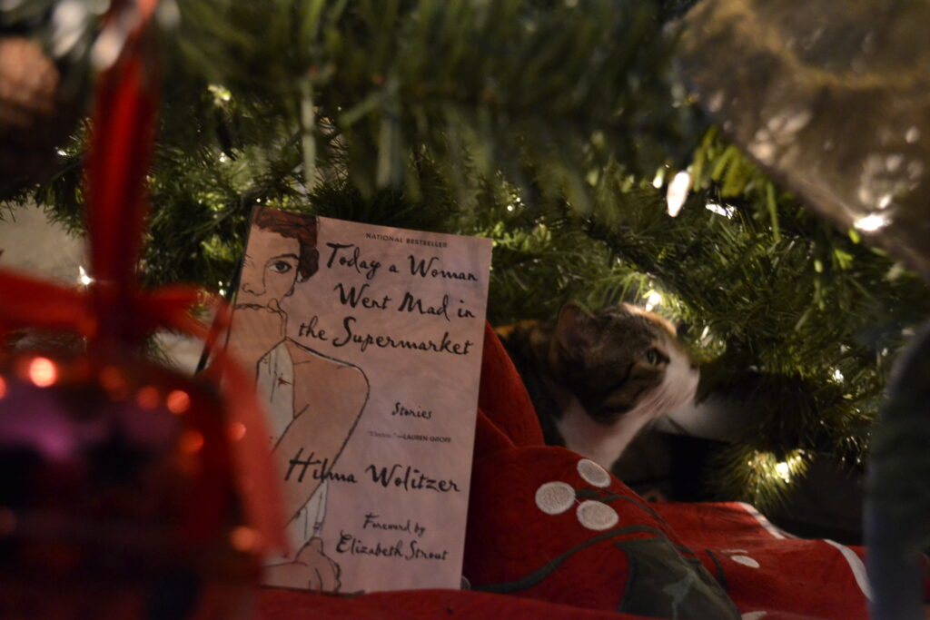 A pink book sits under a Christmas tree with a cat who is sniffing the branches.