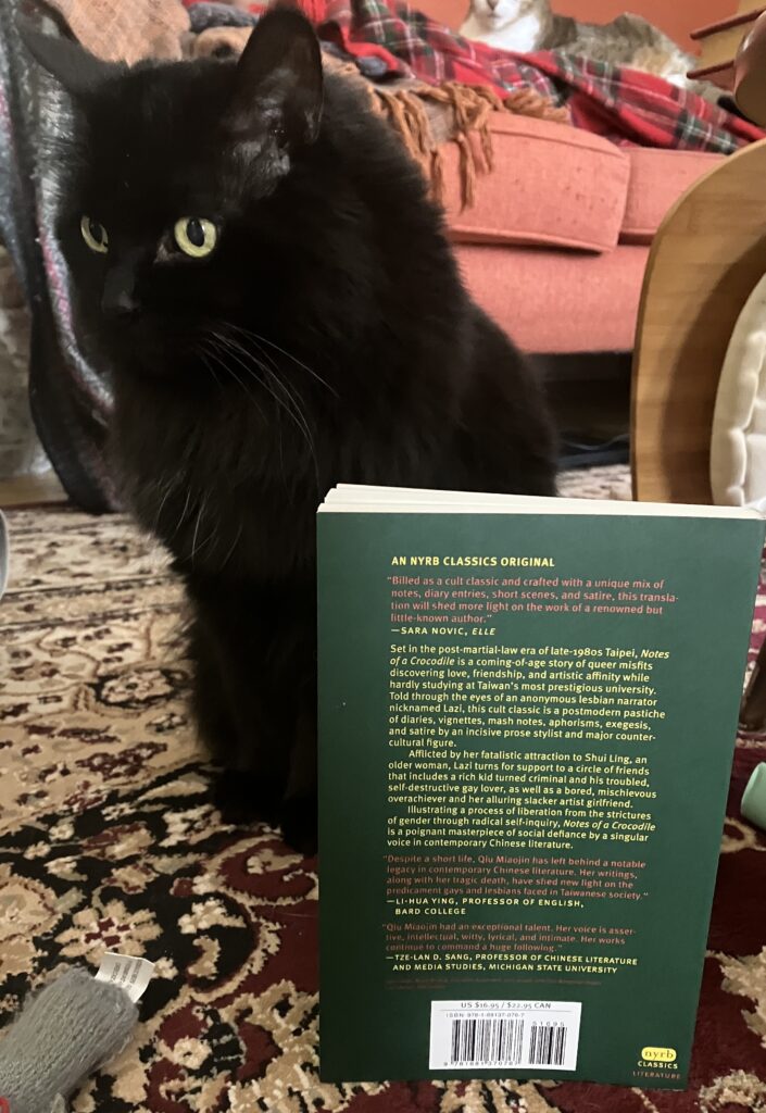 A black fluffy cat sits beside a book. The green back cover is showing.