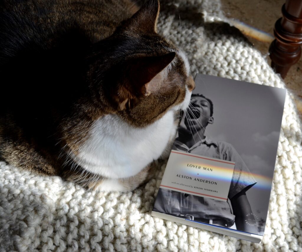 A brown tabby cat sits in rainbow-dotted sunlight with a copy of Alston Anderson's Love Man.