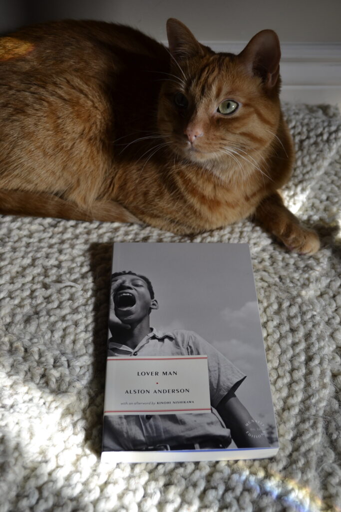 An orange cat sits on a squishy white knit with a black-and-white book.
