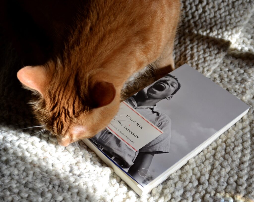 An orange cat sniffs a book titled 'Lover Man' in the sunshine.