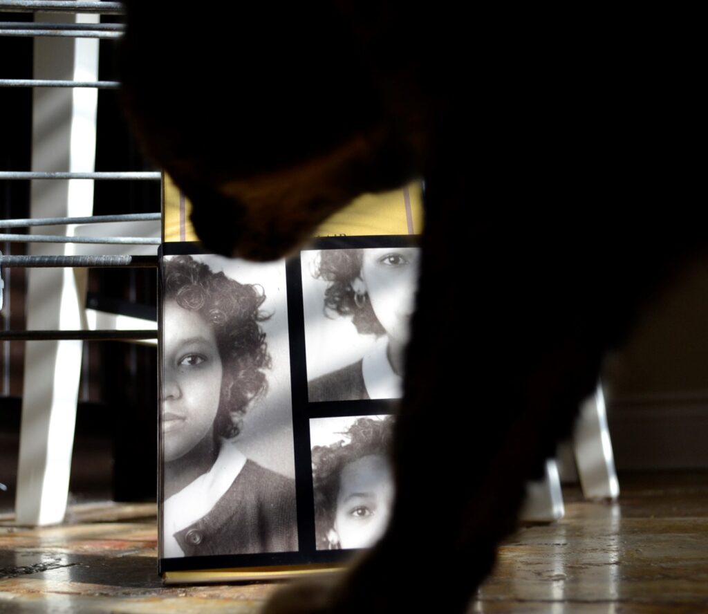 The shadow of a cat obscures the cover of a yellow book.