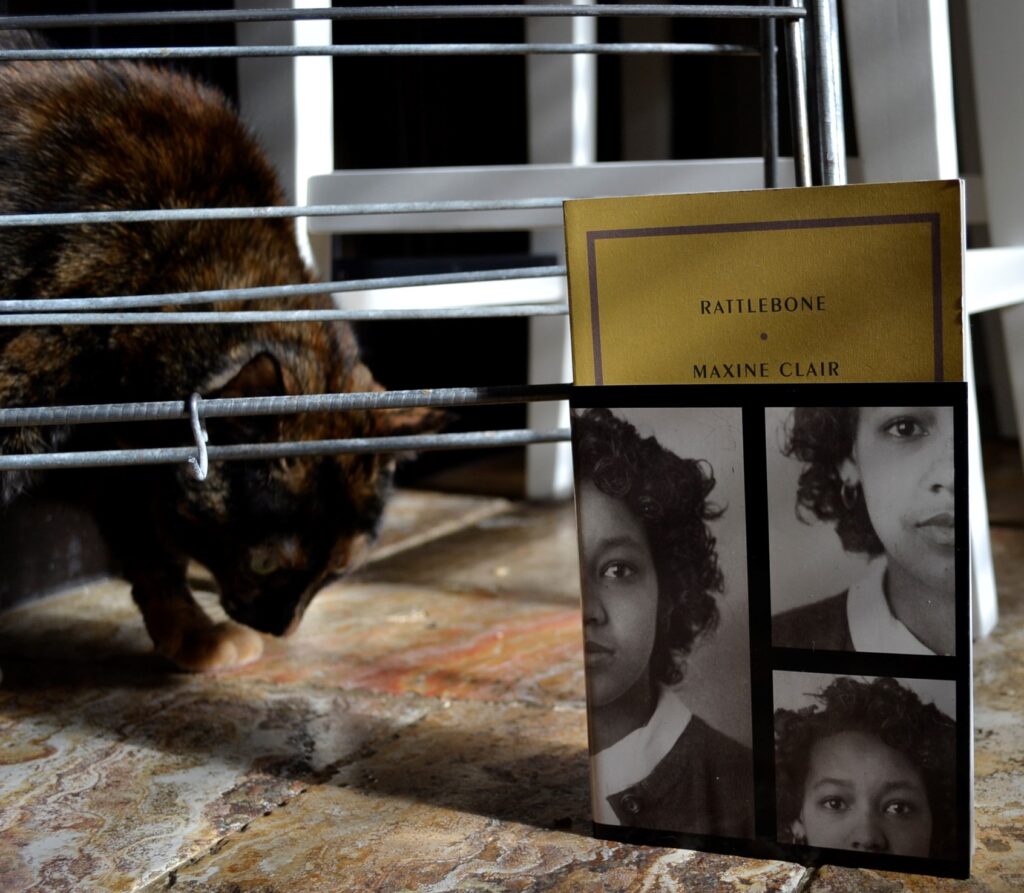 A yellow book — Rattlebone by Maxine Clair — rests against a drying rack. A tortoiseshell cat sniffs the ground behind it.