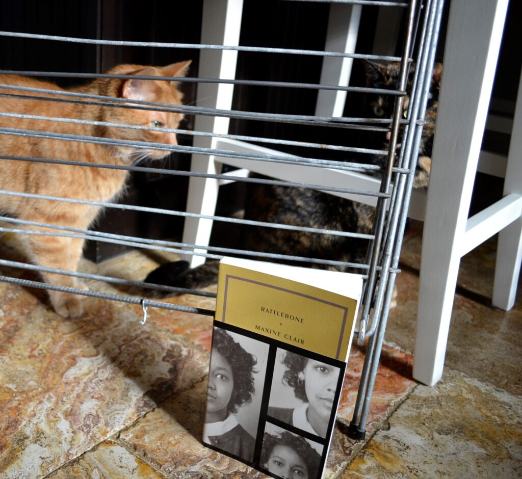 A yellow book sits in front of a drying rack. Two cats can be seen through the bars.