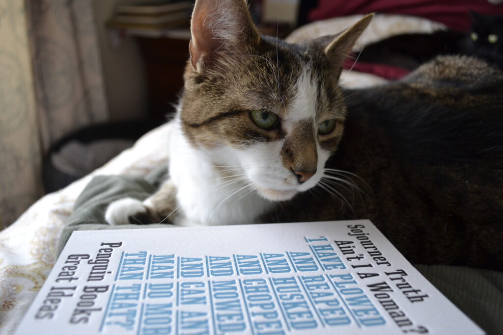 A tabby cat looks over its shoulder. Behind it is a black cat. In front of it is a white book.