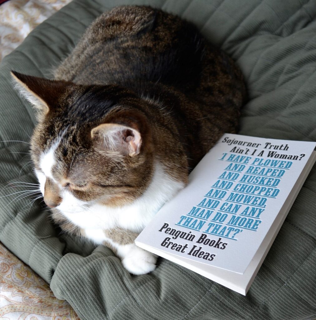 A cat is curled up beside a white book with black and blue text on a plain cover.