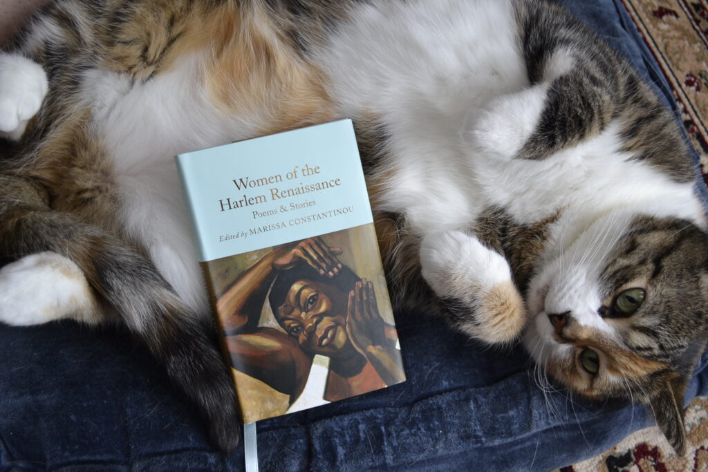 A tabby cat lies belly-up with a book resting against it. The book is Women of the Harlem Renaissance.