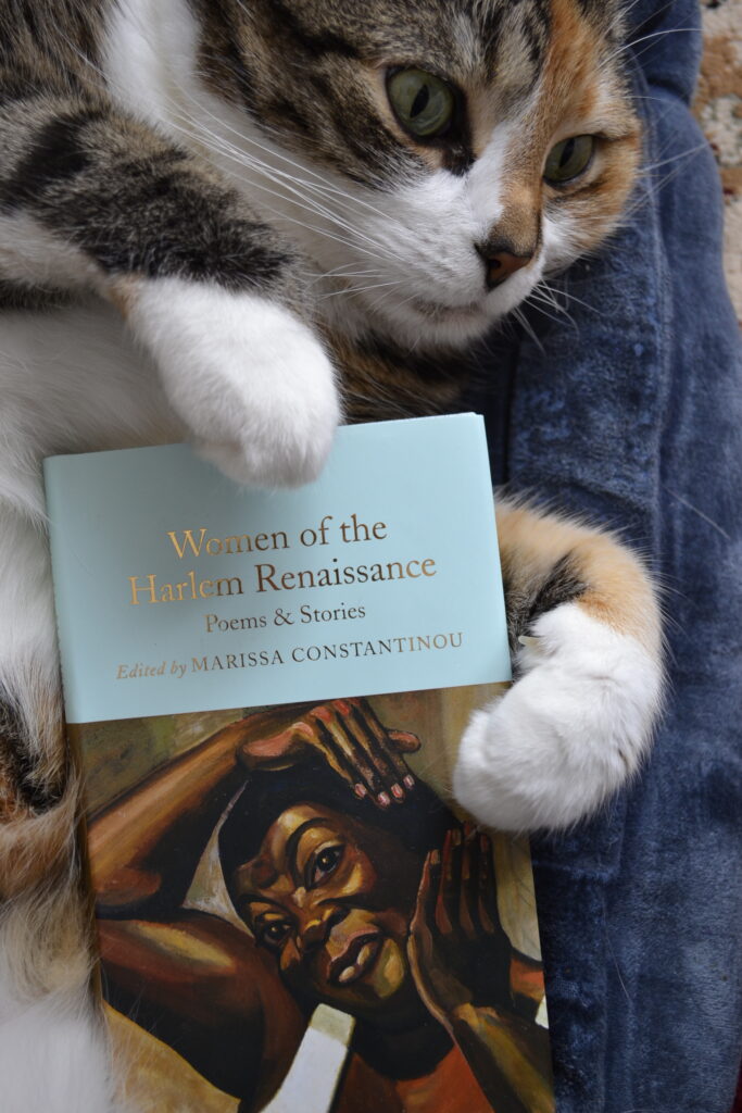 A calico tabby curls its white paws over a little blue book that's cover has a painting of a Black woman smoothing her hair.