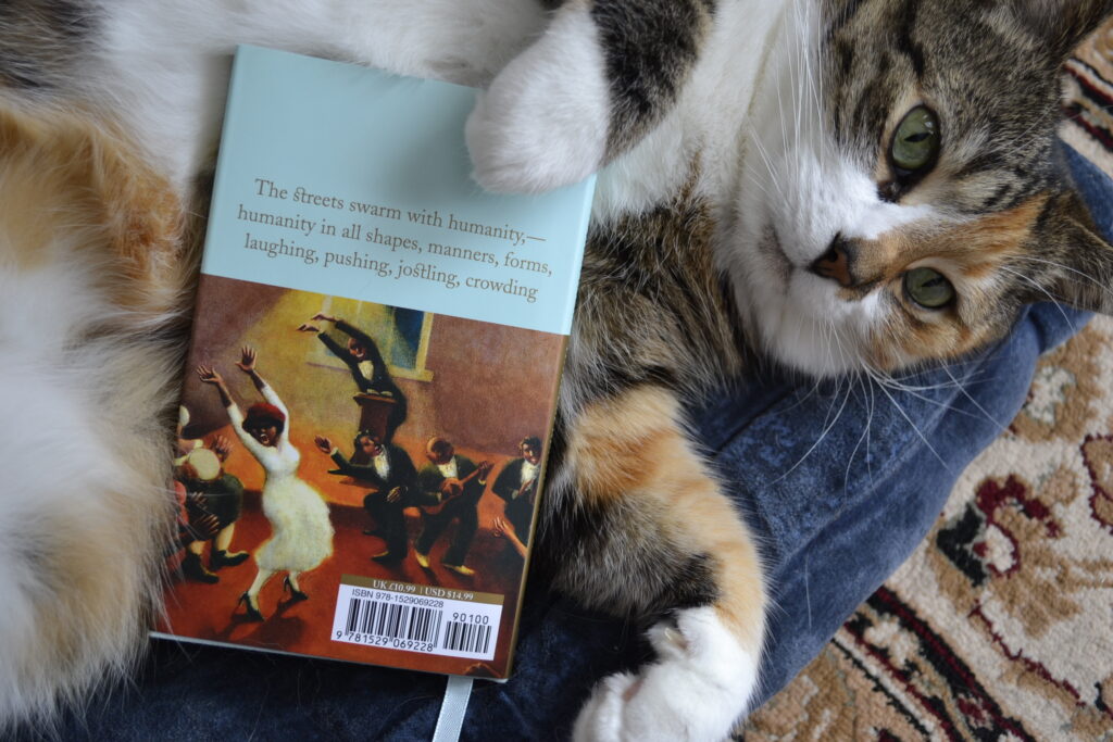 A calico tabby holds a little book. The back cover features a painting of a Black woman dancing to music played by Black musicians.