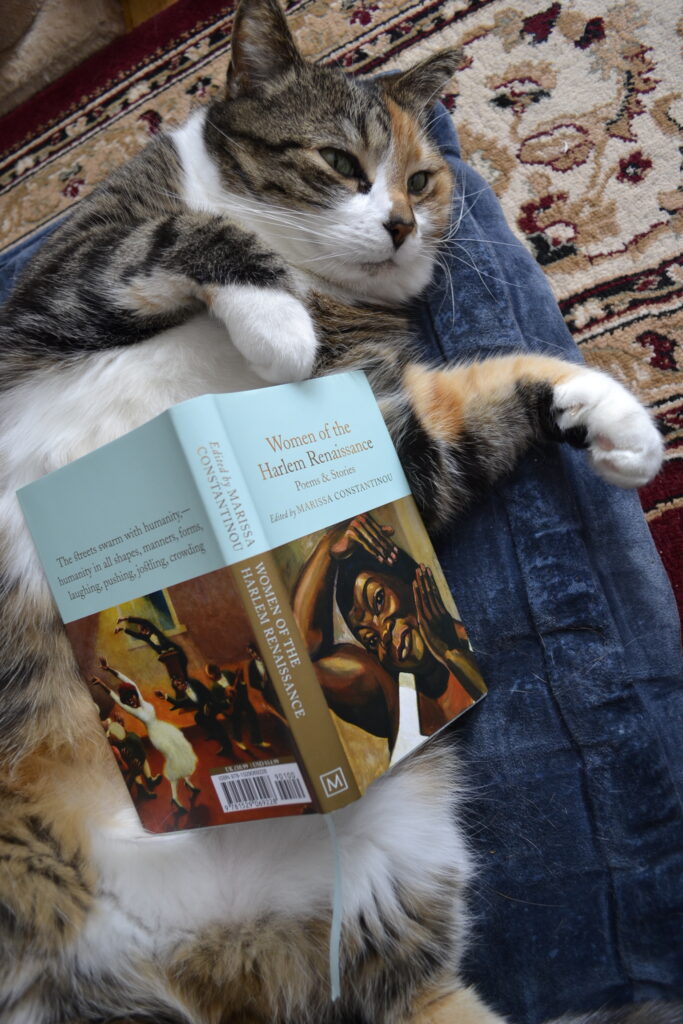 An open book lies on top of the belly of a calico tabby. The book is small, pale blue, and has gold text and edging.