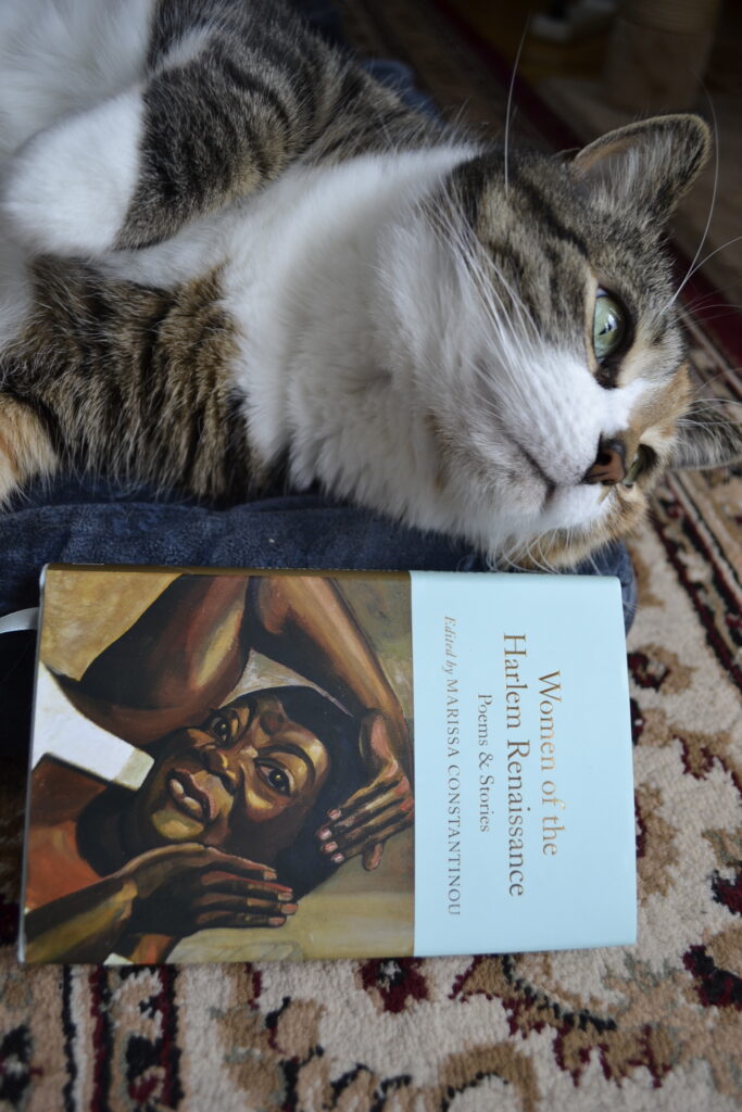 A calico tabby lies beside a book and looks towards the light from a window.