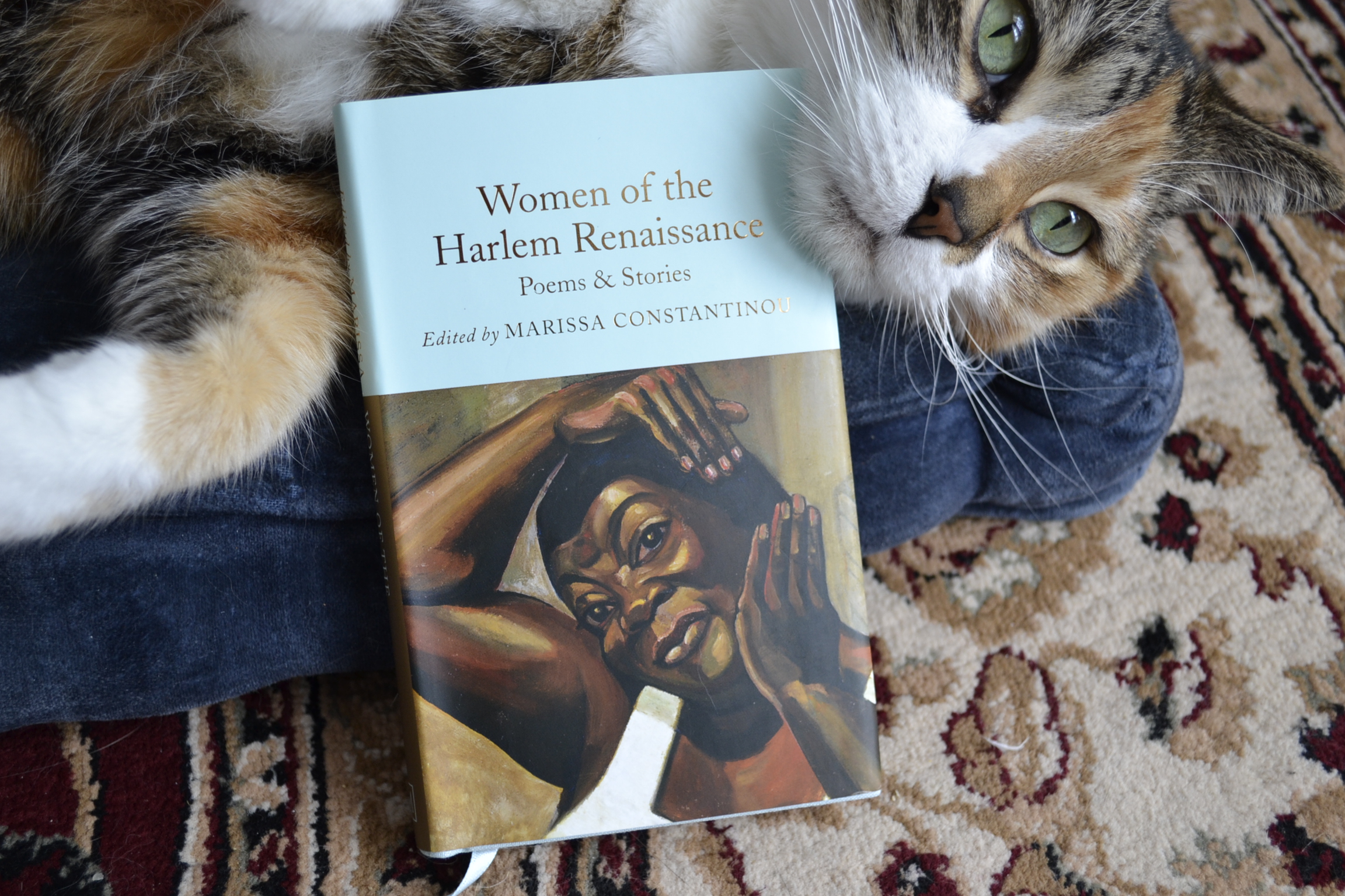 A little blue book titled Women of the Harlem Renaissance features a painting of a Black woman smoothing her hair on the cover.