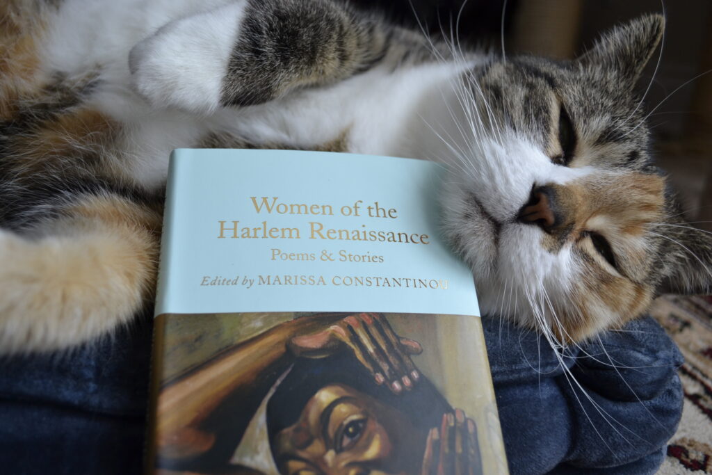 A tabby sleeps against the edge of Women of the Harlem Renaissance. It's chin rests on the cover.