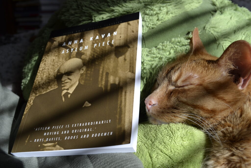 Anna Kavan's Asylum Piece lies in the sun on top of a toy turtle and a very sleepy orange cat.