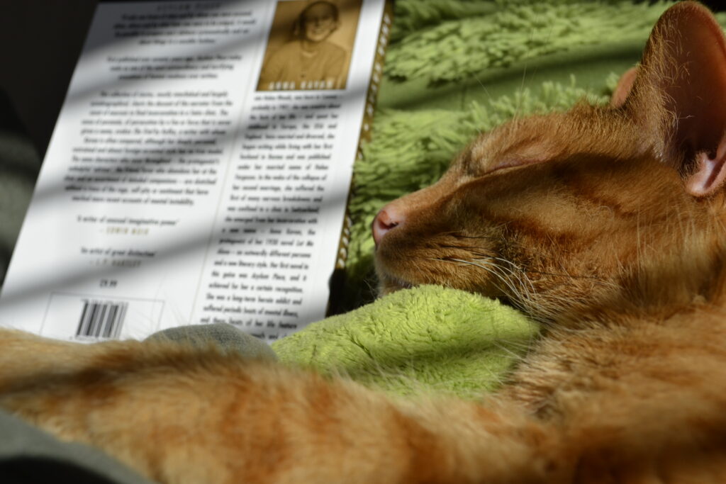 An orange tabby is sleeping soundly in the sunshine on top of a giant toy turtle.