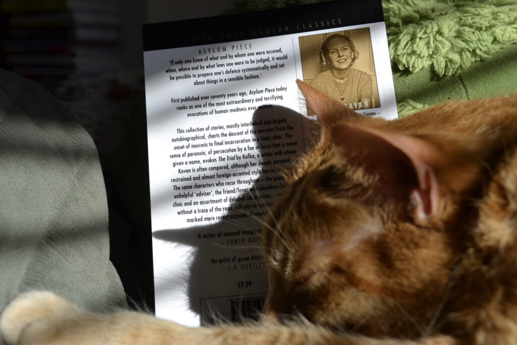 An orange tabby lies nose down in front of a book. The back of the book shows a smiling picture of the author.
