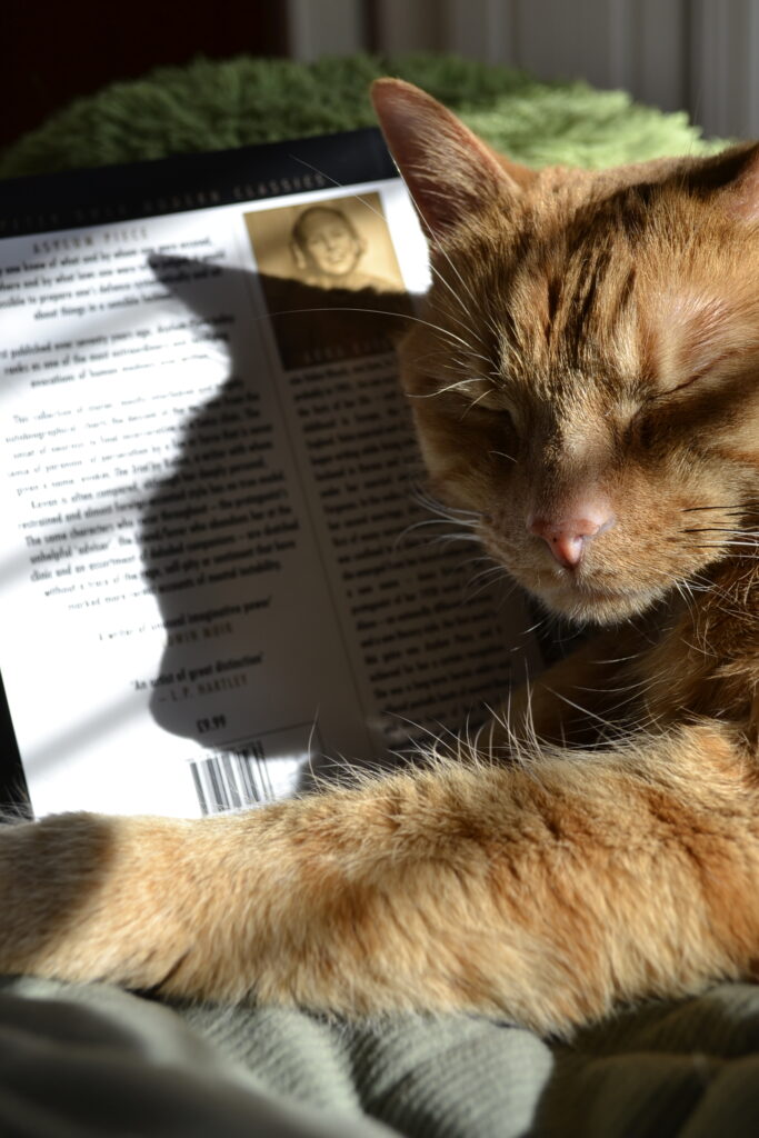 An orange tabby sleeps on a book. The back cover shows text and a vintage monochrome photograph of the author.