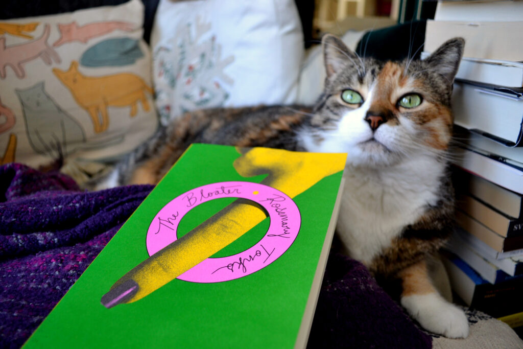 A calico tabby squints and lifts its nose into the air with its mouth a bit open. A green book is beside it.