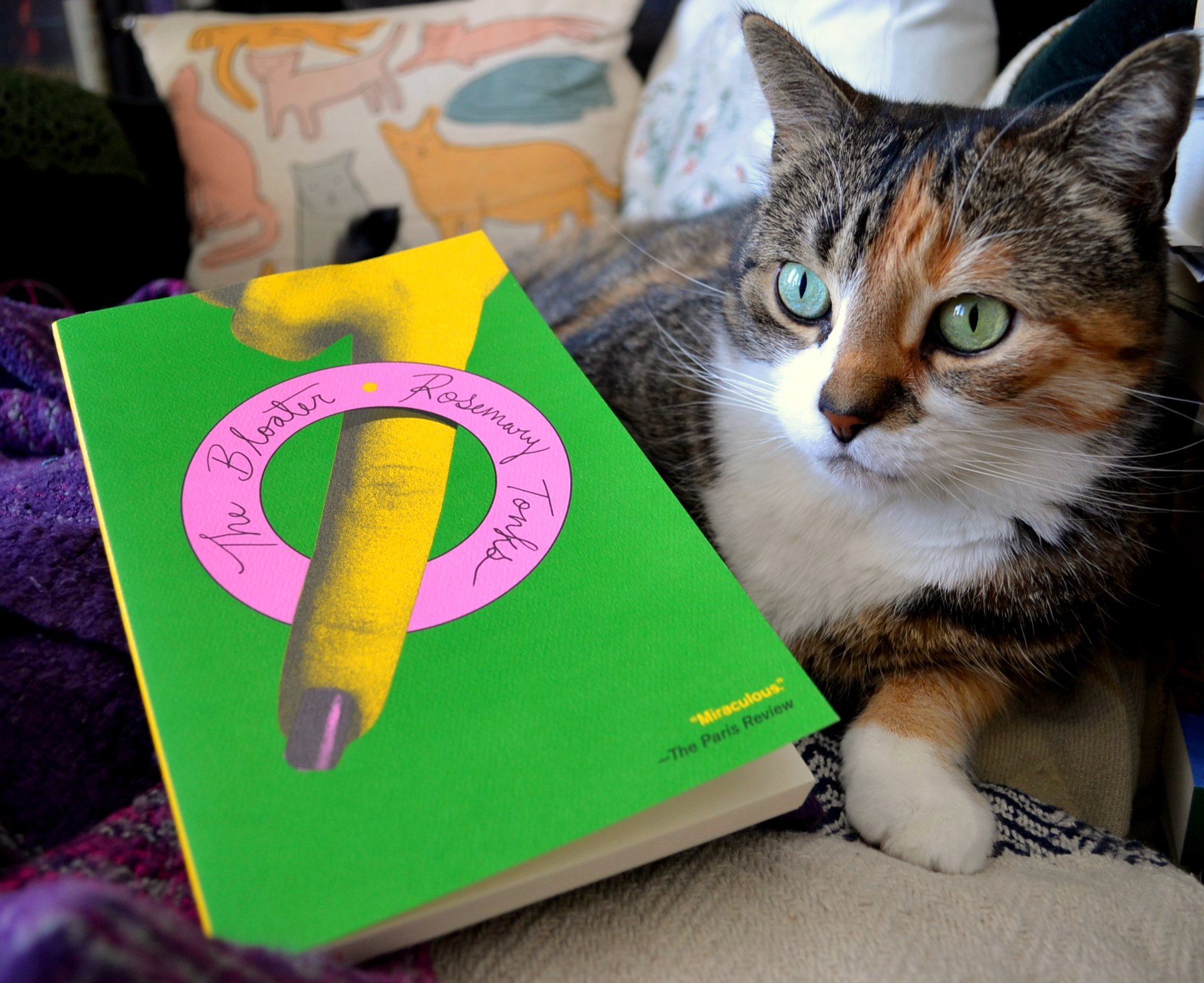 A calico tabby with bright green eyes sits beside a vibrant green book with a neon yellow finger on it.