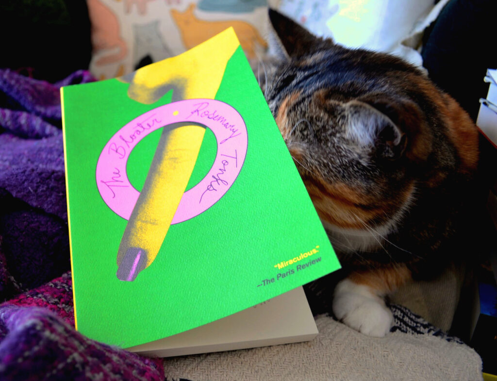 Rosemary Tonks' The Bloater has a vibrantly green cover, with a neon-yellow finger poking through a pink ring. The title and author name are handwritten on the ring.
