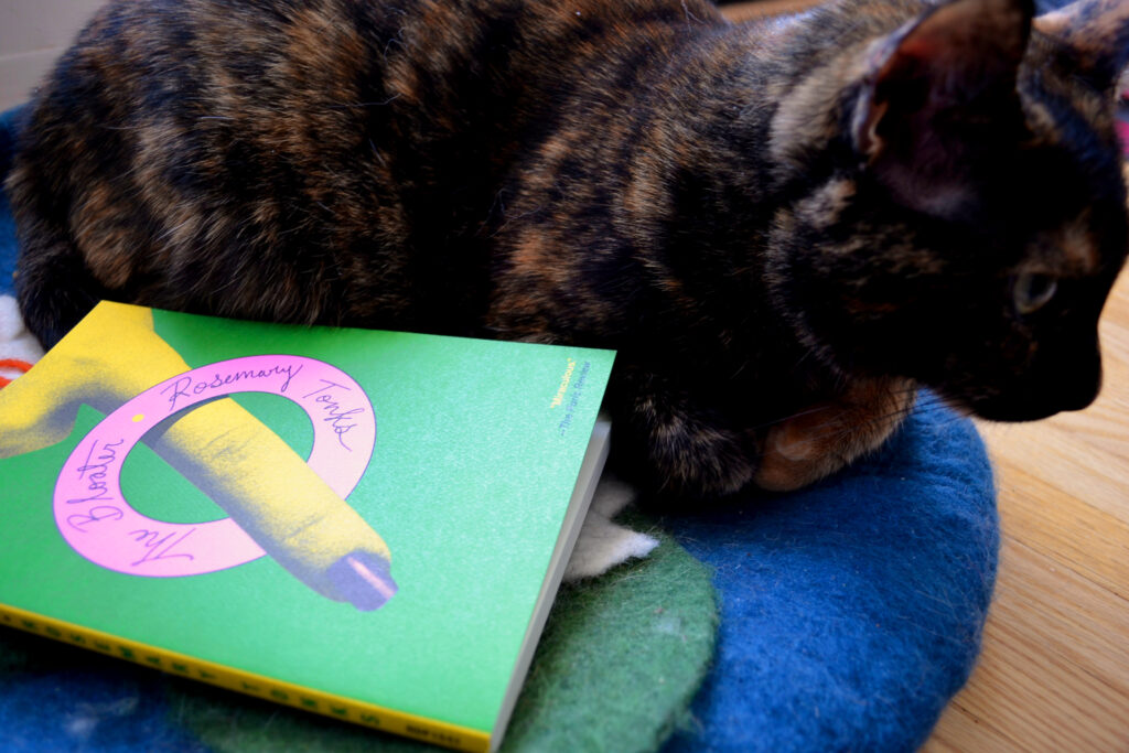 A tortoiseshell cat hunkers beside a vibrant green book with a neon yellow finger on it.
