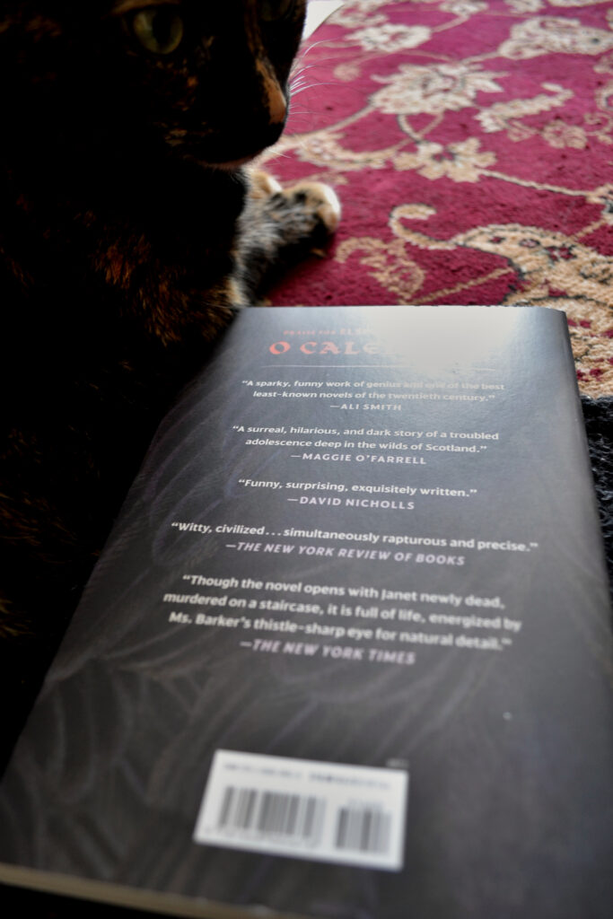 A tortoiseshell cat lies beside O Caledonia. The back cover is visible, showing reams of praise.