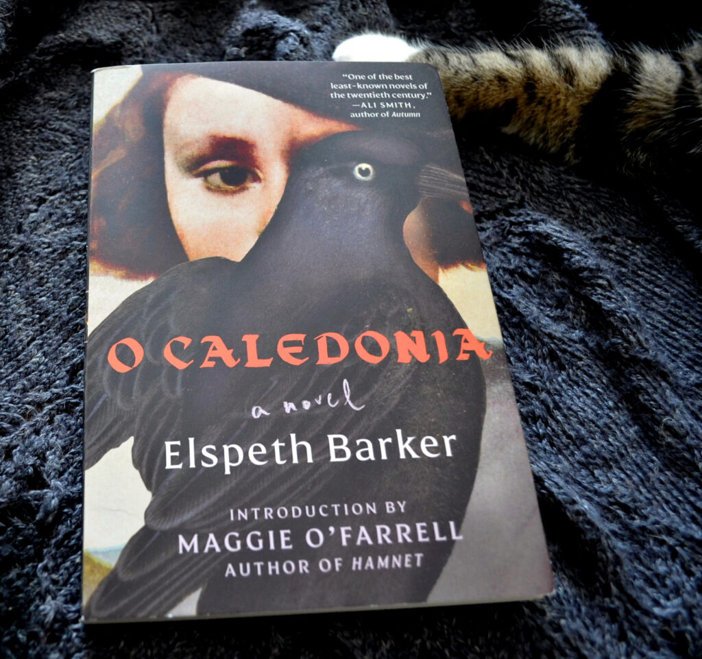 Elspeth Barker's O Caledonia lies beside a cat. The cover reads: O Caledonia, a novel by Elspeth Barker with an introduction by Maggie O'Farrell, author of Hamnet.
