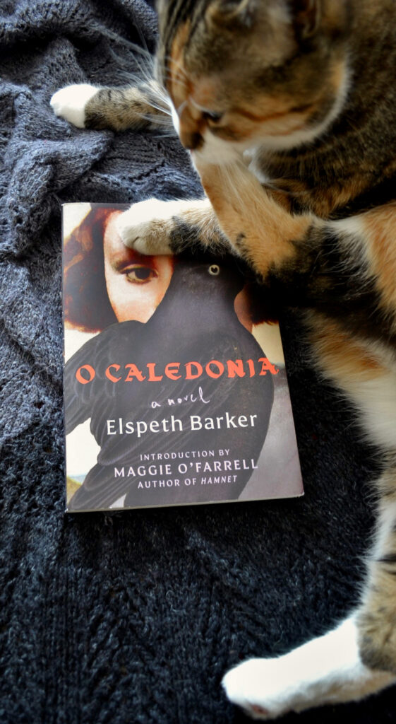 A calico tabby intently chews her paws with one paw on O Caledonia. The cat and book are lying on a lace knit shawl.