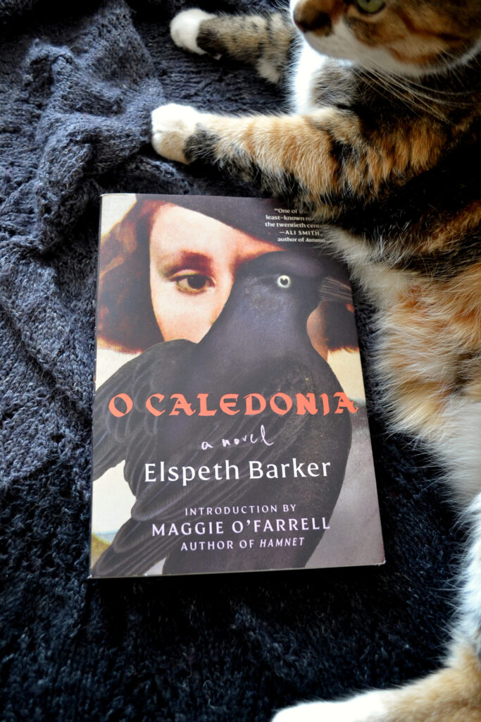 A cat lies beside O Caledonia. The book has a picture of a girl's face half-covered by a crow.