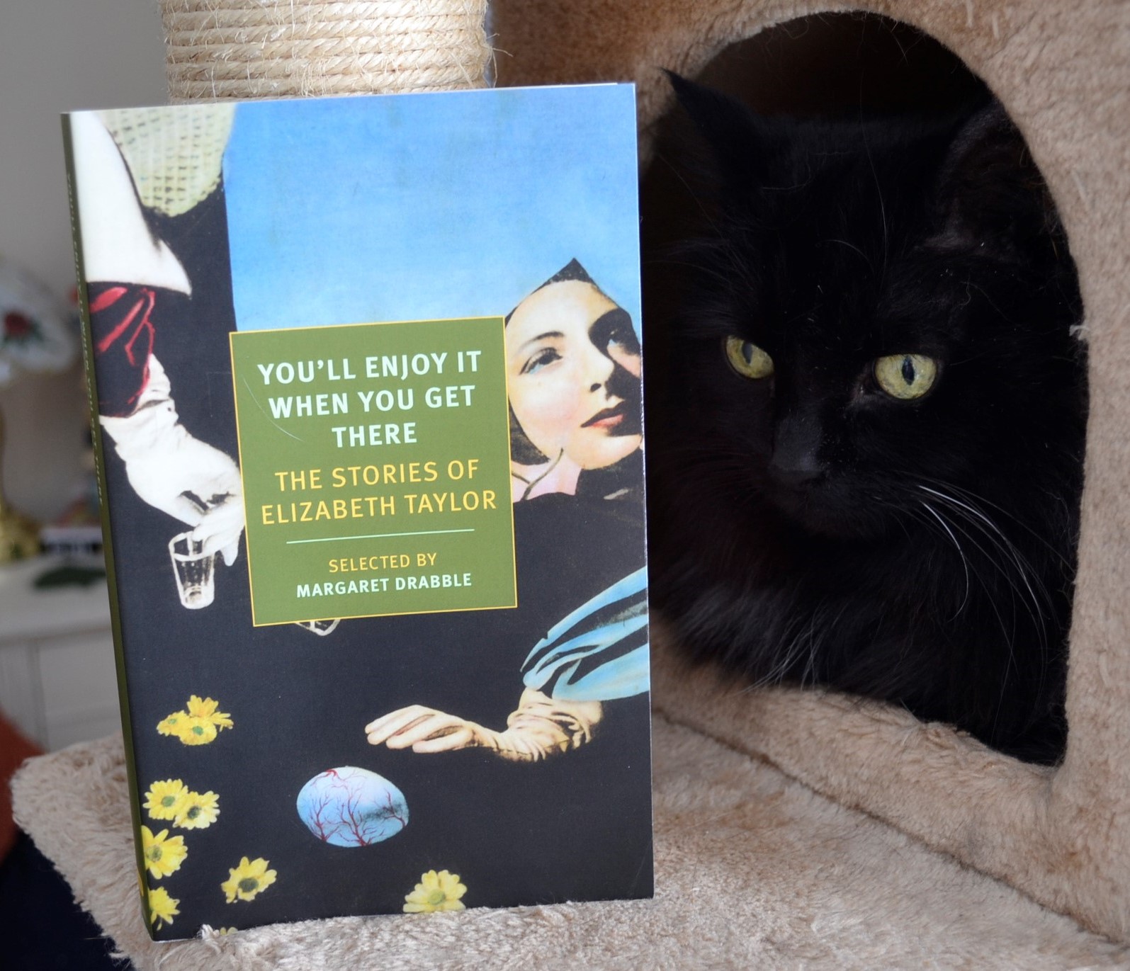 A black cat looks at a book: You'll Enjoy It When You Get There by Elizabeth Taylor.
