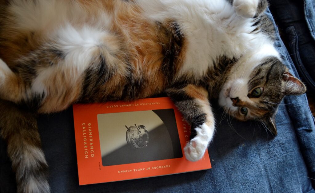 A calico tabby lies belly-up beside an orange book with a black-and-white photo on the cover.