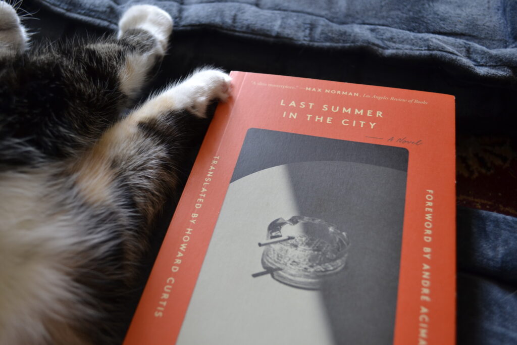 A cat lies beside an orange book with a black-and-white photograph of an ashtray on the cover.