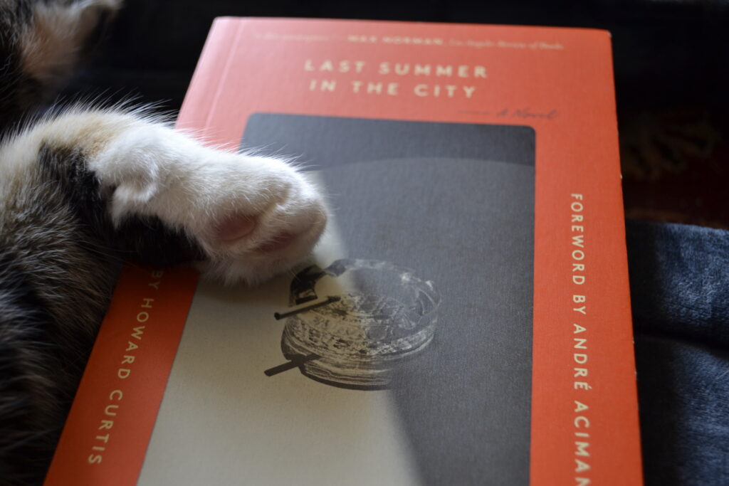 A white paw lies in the centre of an image of a glass ashtray on the cover of Last Summer in the City.