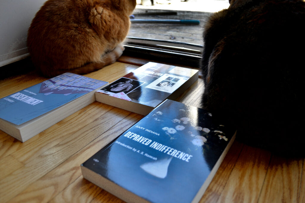 Three books a lit by bright window light. They are arranged between two cats.