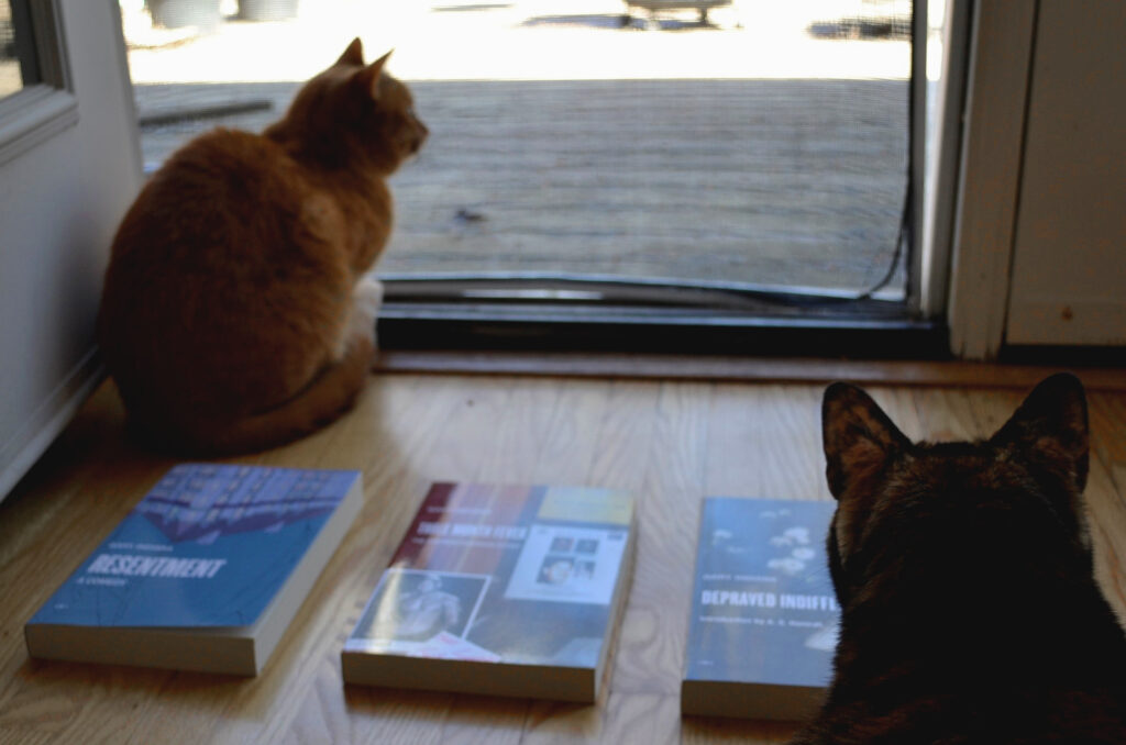 An orange cat and a tortoiseshell cat look out the window beside three books by Gary Indiana.