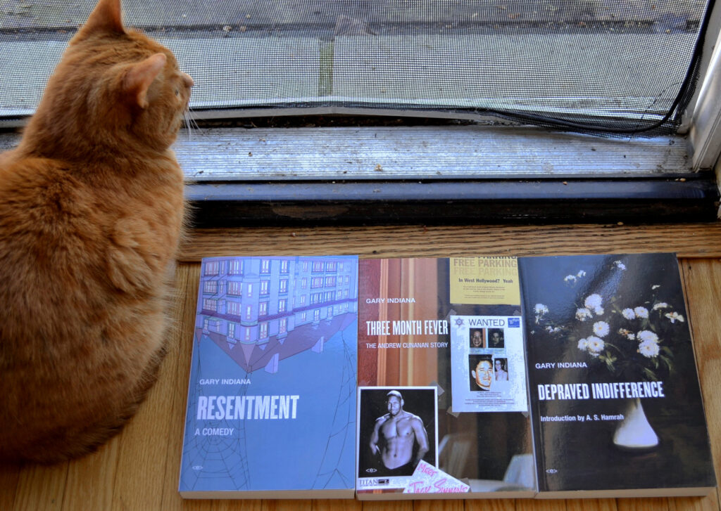 Three books are lined up by an orange cat. The cover of Resentment is blue and shows an upside-down courthouse with cobwebs dangling off it.