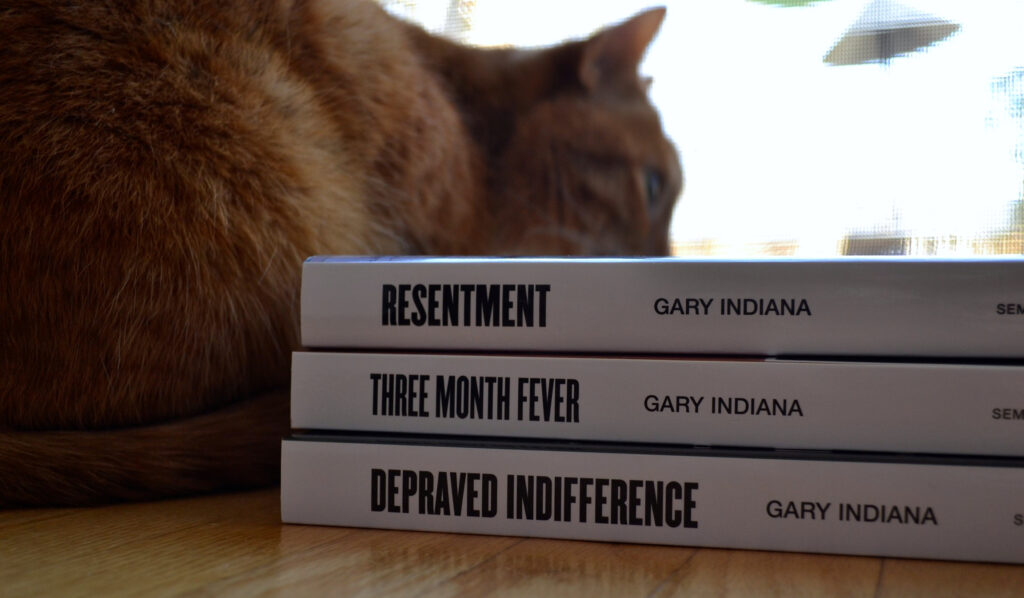An orange cat hunches behind a stack of three books by Gary Indiana. From top to bottom, the spines read: Resentment, Three Month Fever, Depraved Indifference.