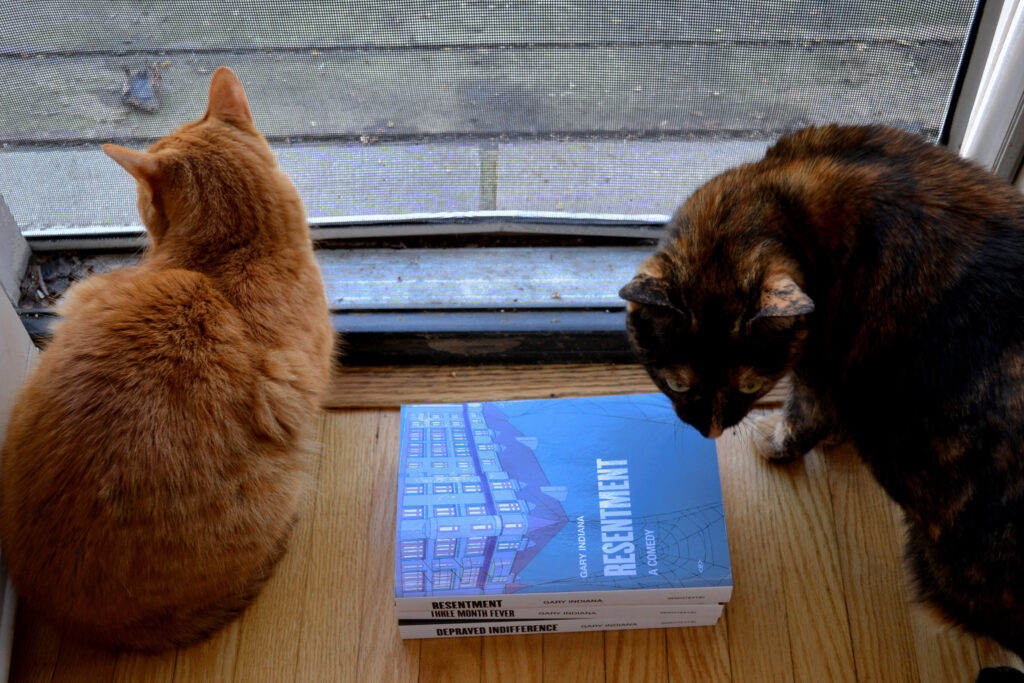 An orange cat and a tortoiseshell cat sit by a door. A stack of three books is between them.