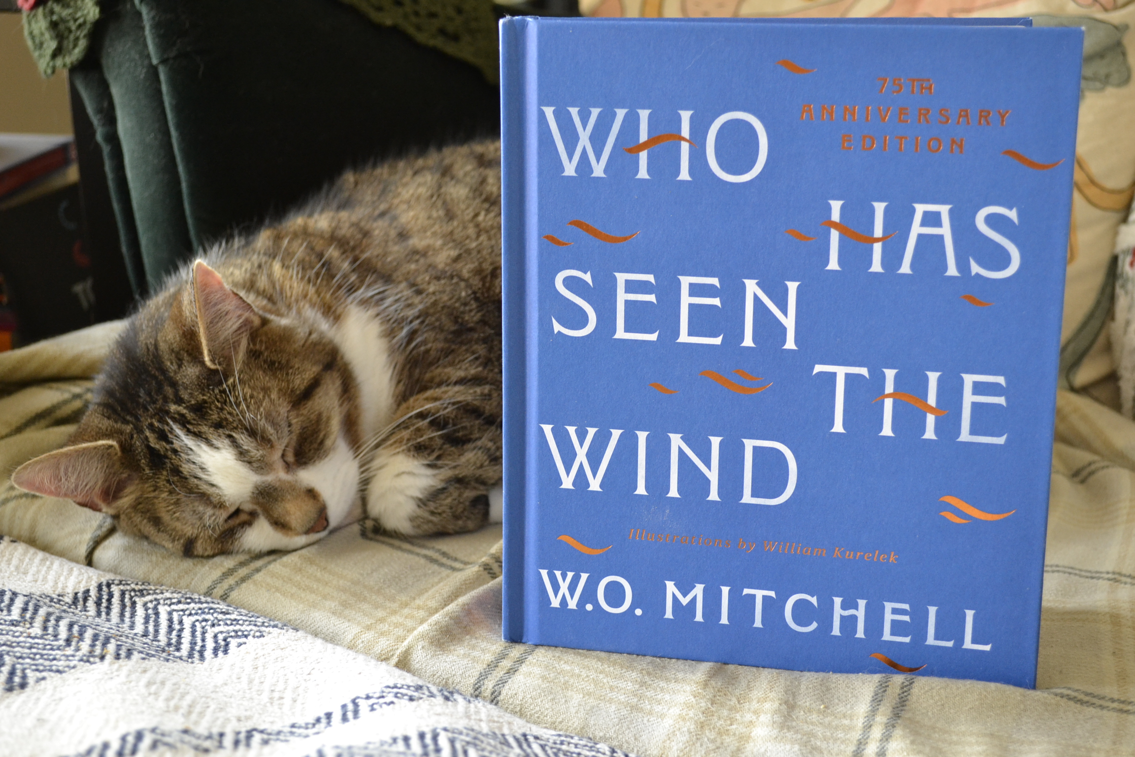A tabby cat is sleeping contently behind a bright blue edition of Who Has Seen the Wind.